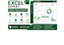 do professional microsoft excel task